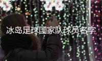 冰岛足球国家队球员名字为什么都是松原因 其他职业资料介绍
