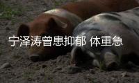 宁泽涛曾患抑郁 体重急速下降并出现重度焦虑