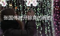 张国伟被开除真的假的 张国伟被处罚原因事件揭秘