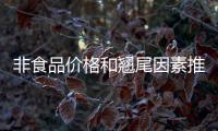 非食品价格和翘尾因素推高CPI  涨幅比上月扩大0.3个百分点
