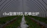 cba复赛球队名单出炉 12支球队将“全华班”出战比赛