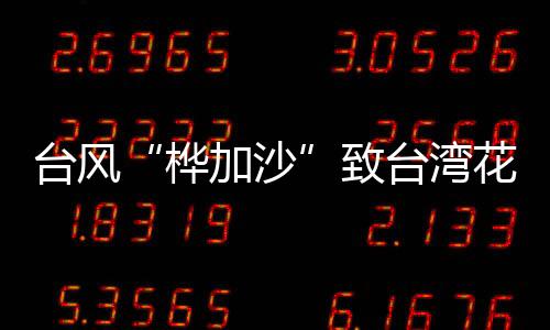 台风“桦加沙”致台湾花莲死亡人数修正为14人