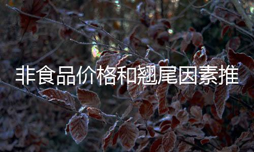 非食品价格和翘尾因素推高CPI  涨幅比上月扩大0.3个百分点